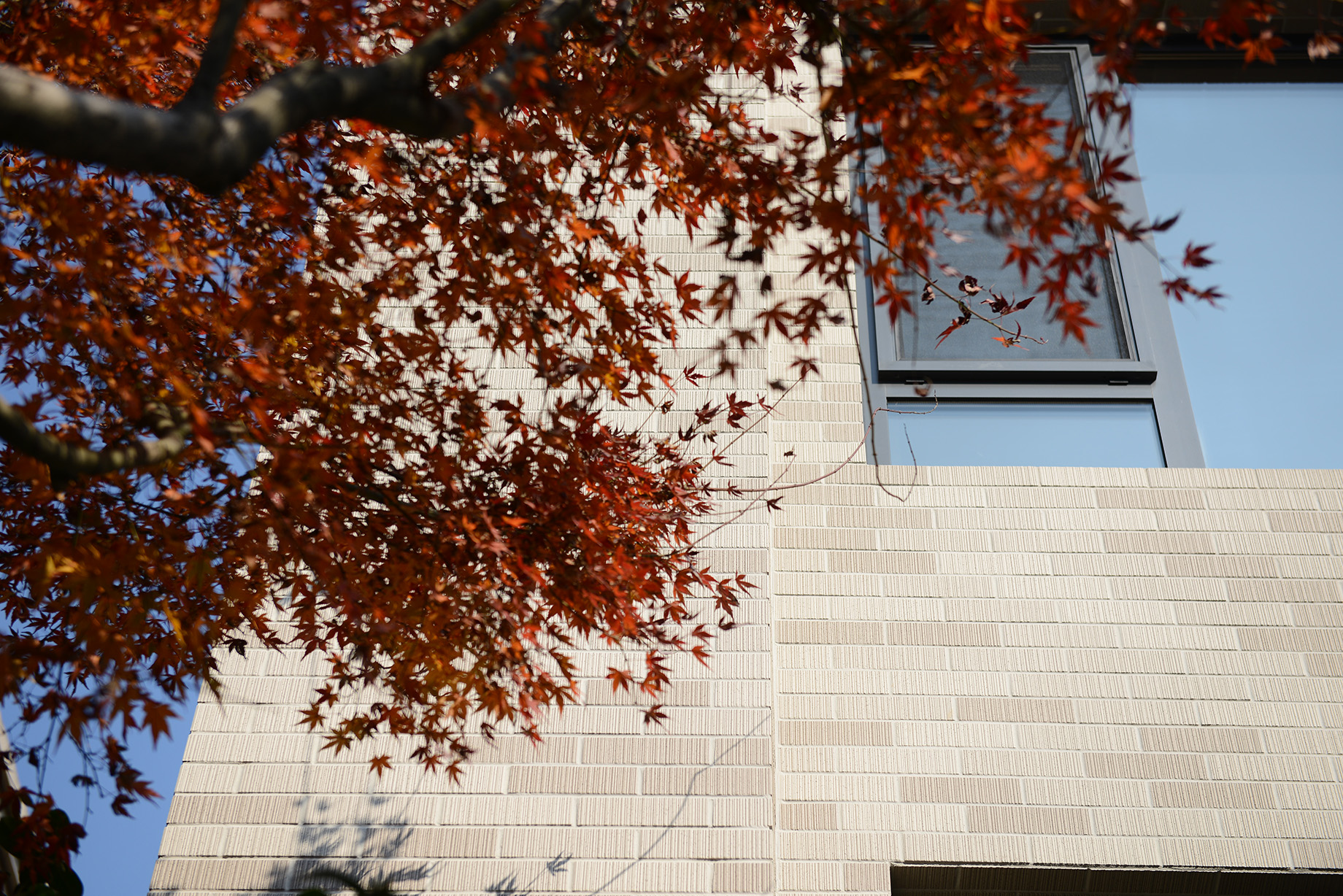 {info.field_group_lang.thumb4.post_other_value_format.alt[$k]}