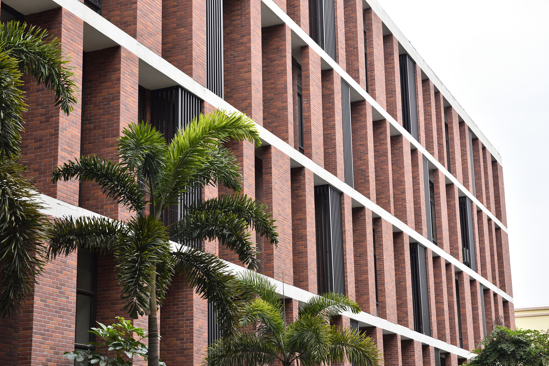 2017年清远美林湖搏爱小学ESG (12)