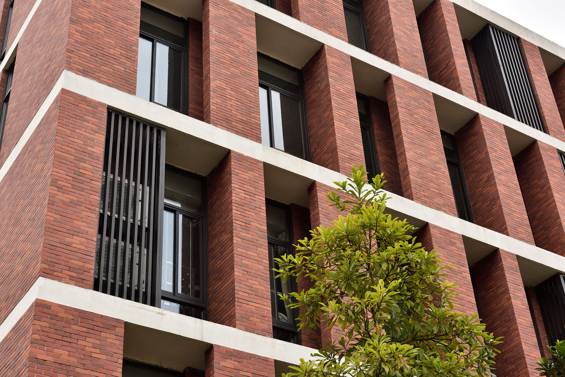 2017年清远美林湖搏爱小学ESG (1)