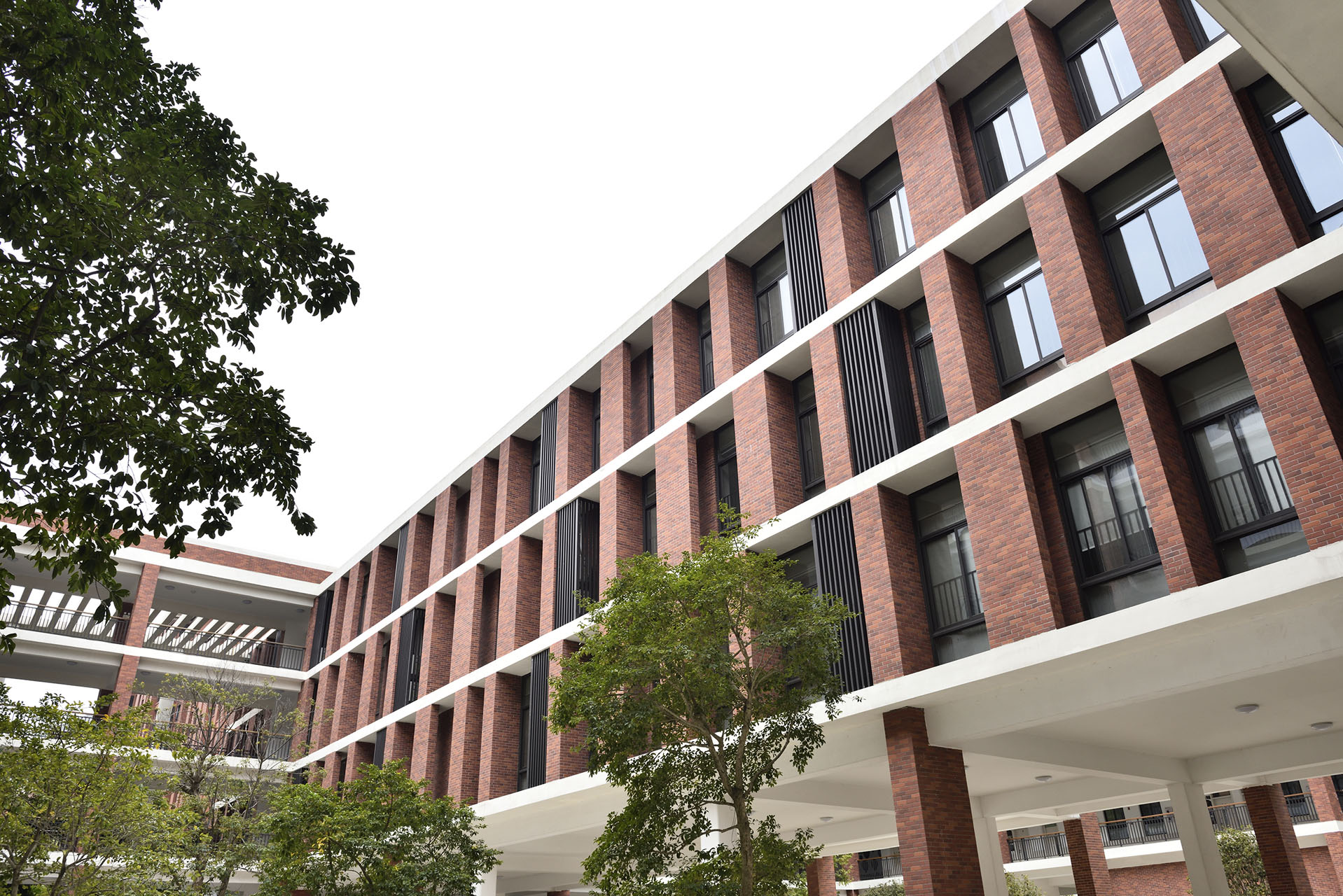 2017年清远美林湖搏爱小学ESG (13)