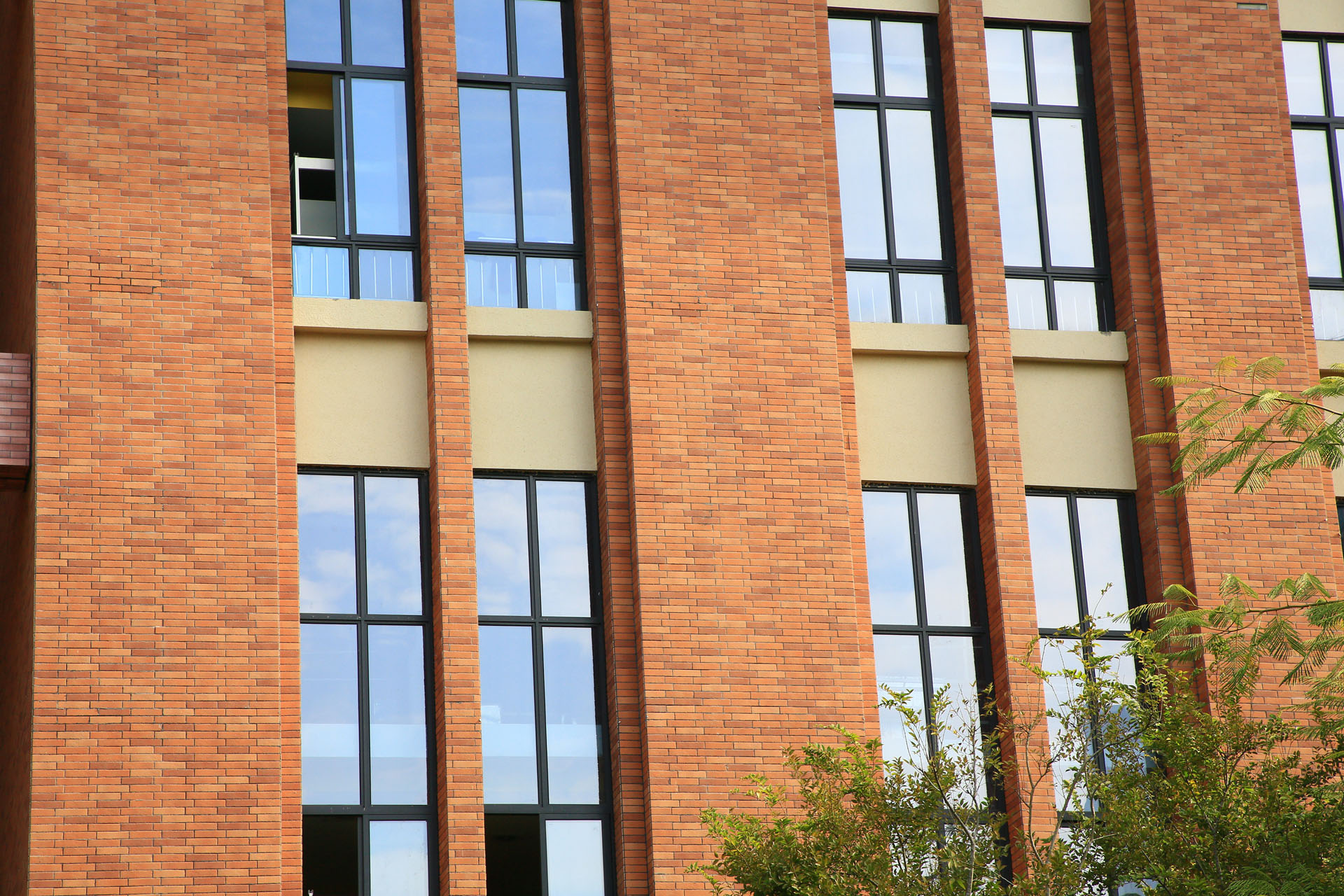 2021年深圳插花地香港大学深圳礼文学校EVG (33)