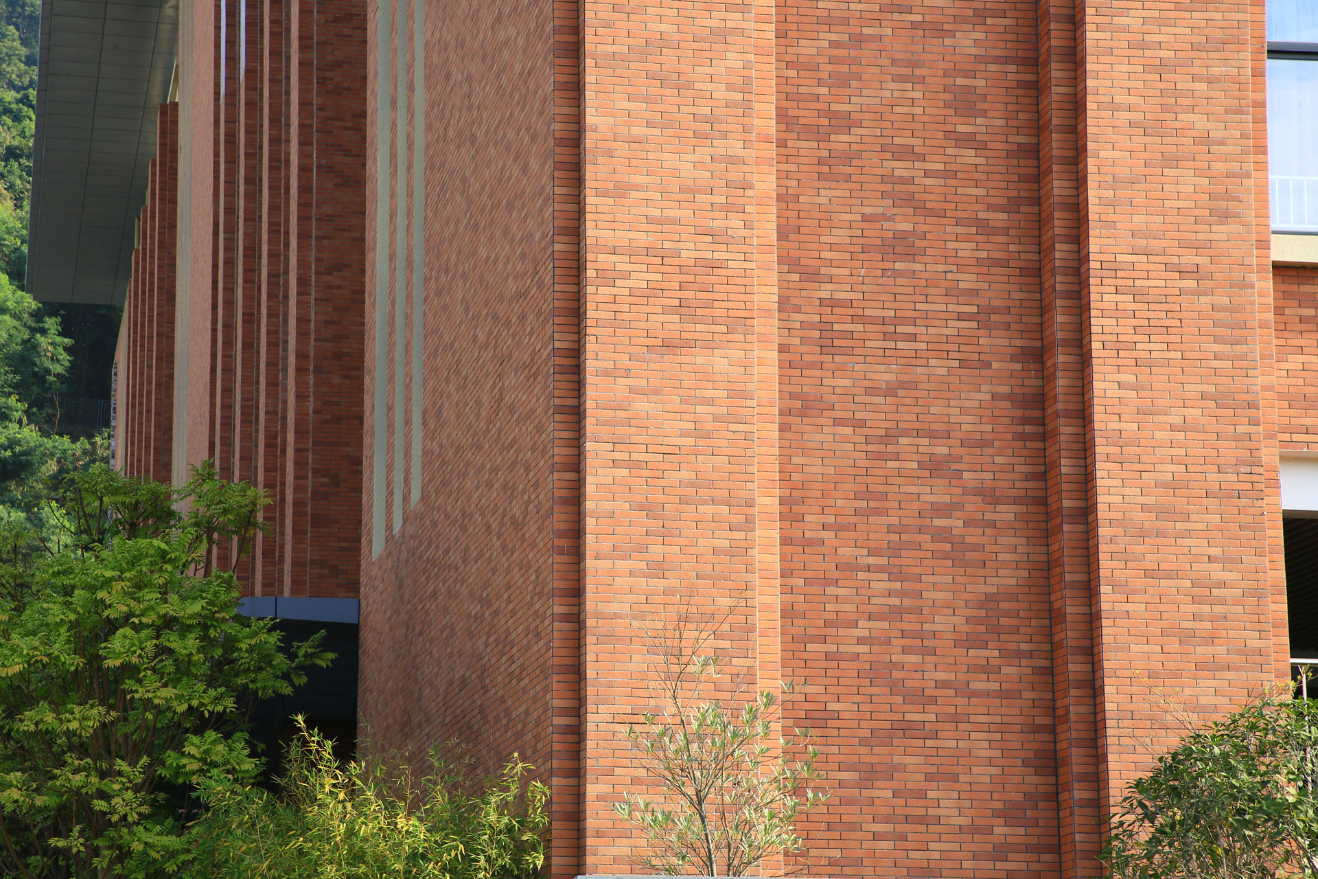 2021年深圳插花地香港大学深圳礼文学校EVG (26)