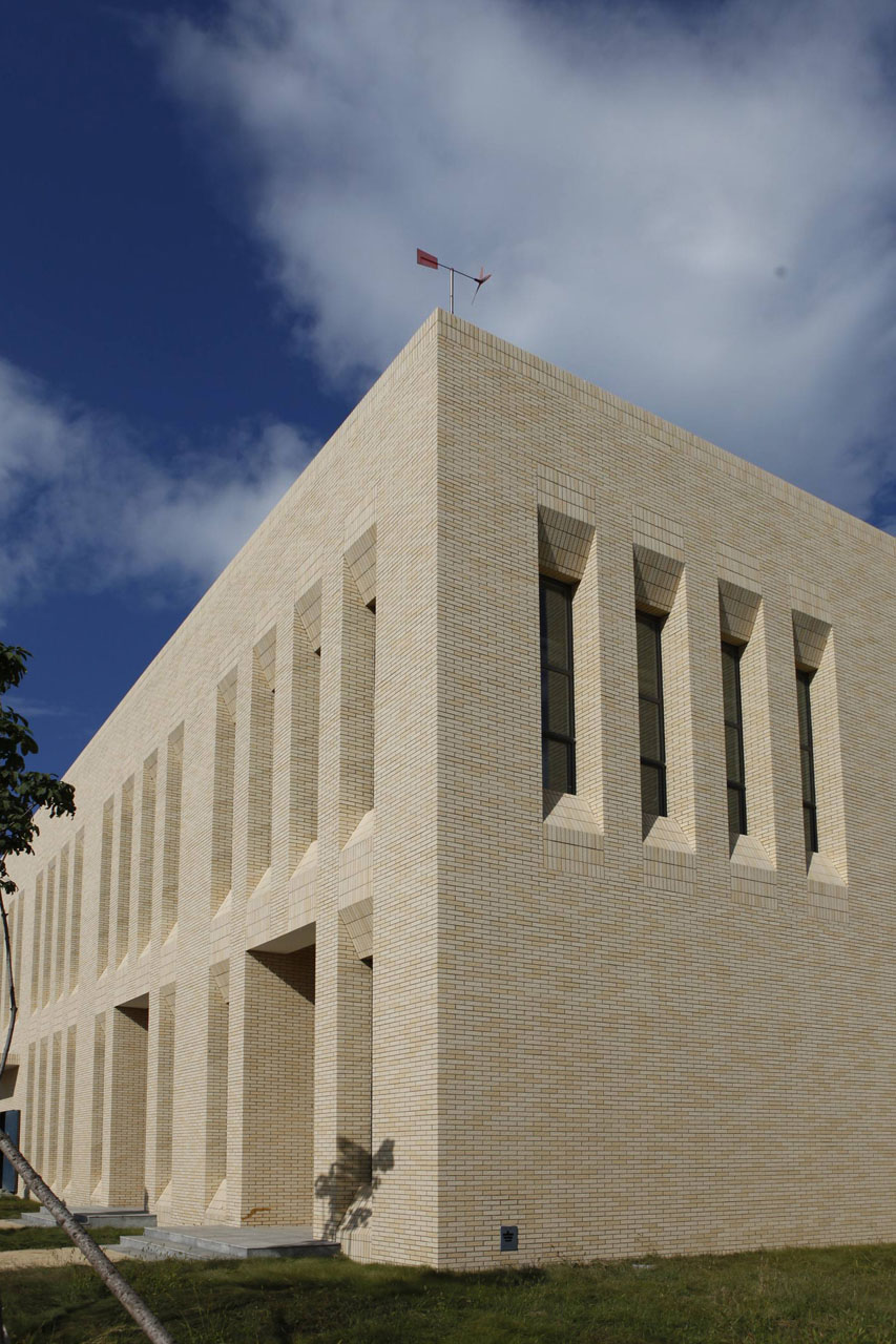 北京世桥药业ZB-8 (31)