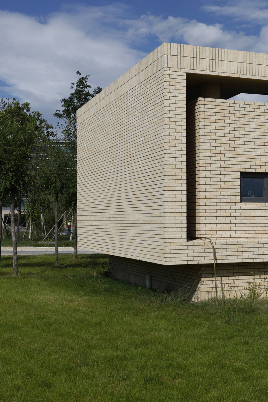 北京世桥药业ZB-8 (64)