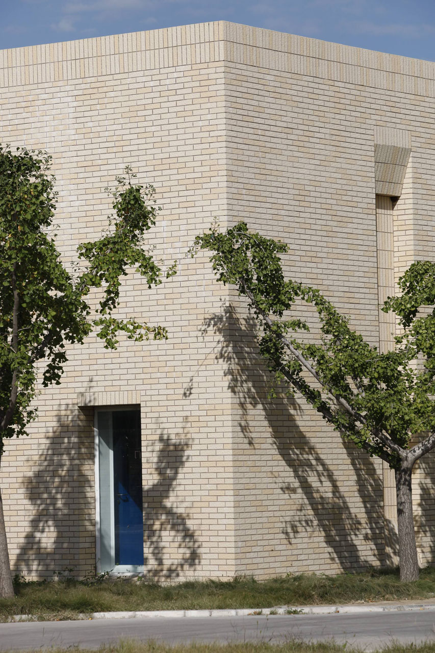 北京世桥药业ZB-8 (8)