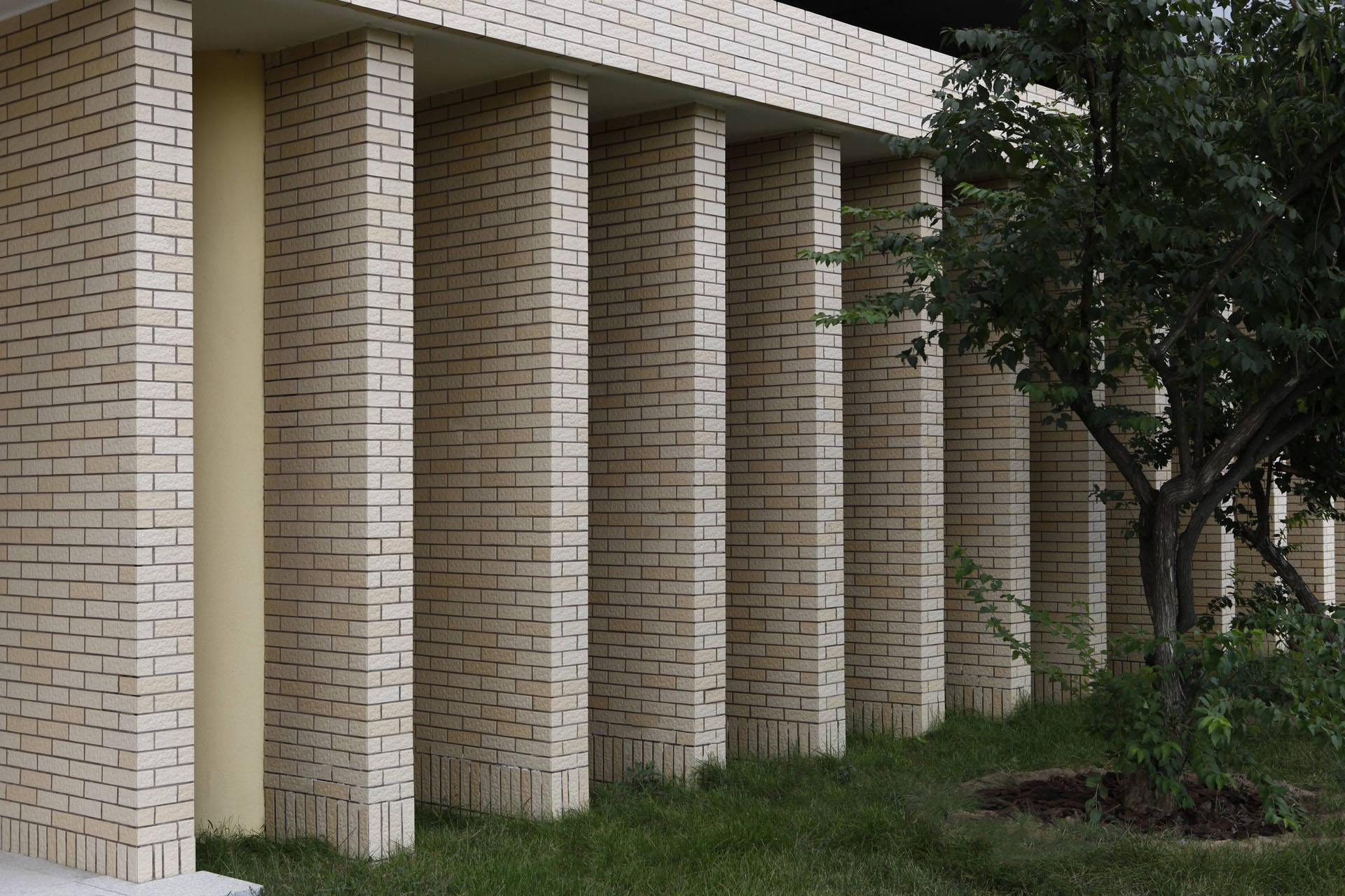 北京世桥药业ZB-8 (54)